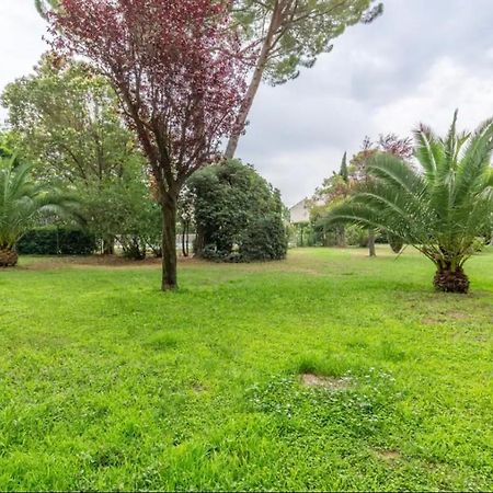 Cosy T3 - Jardin - Parking - Piscine Apartment Montpellier Luaran gambar